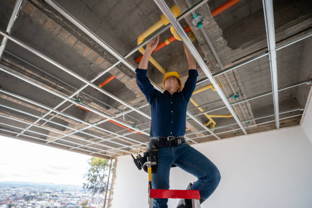 Best Commercial Plumbing Services  in Lincoln, IL