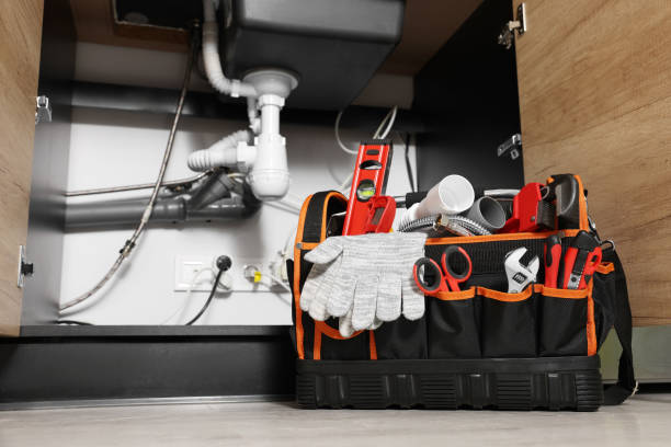 Best Same-Day Plumbing Service  in Lincoln, IL