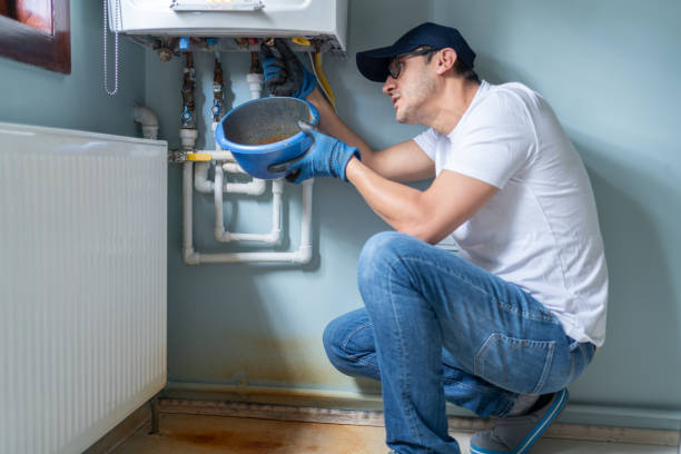Best Plumbing Inspection Services  in Lincoln, IL
